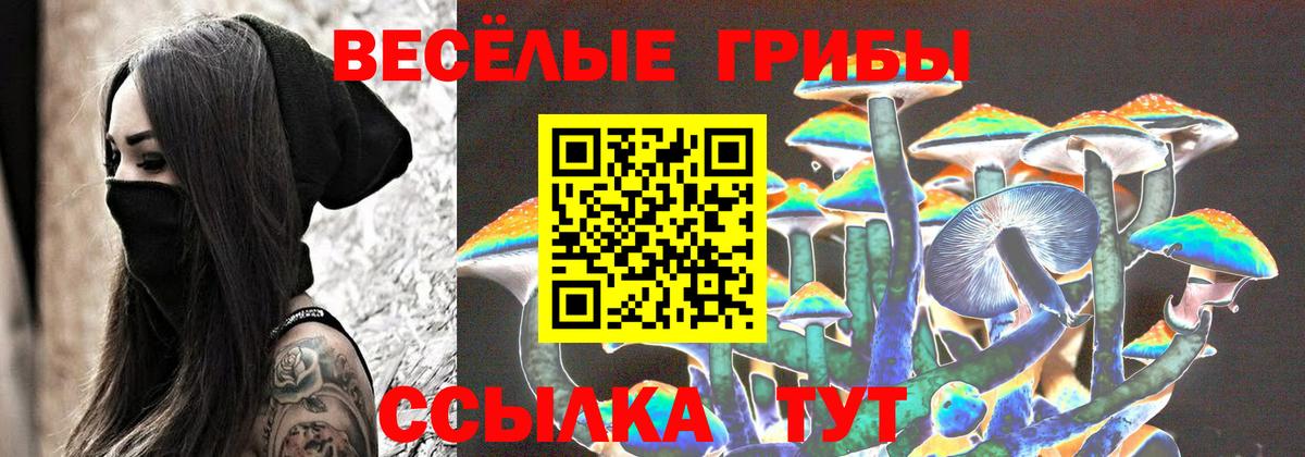 Чапаевск  Галлюциногенные грибы мицелий  Вход с VPN  Псилоцибиновые грибы Cubensis 