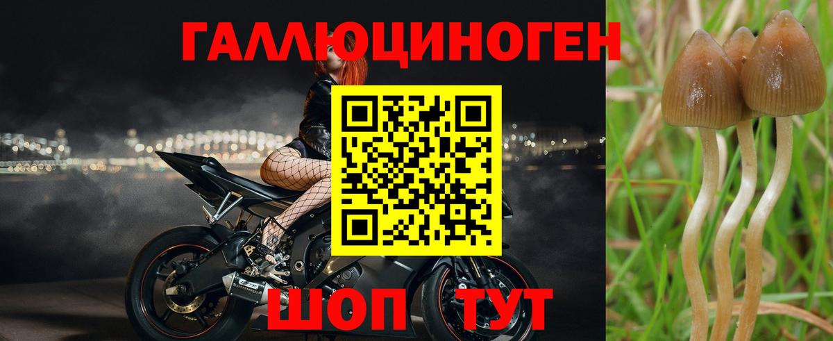 Псилоцибиновые грибы прущие грибы Чапаевск